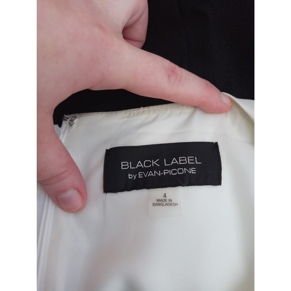 Black Label Color Block Sleeveless‎ Shift Dress Size 4 - Picture 4 of 4